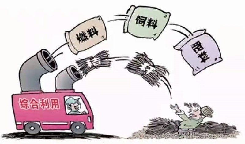 生物質鍋爐